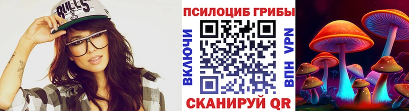 Псилоцибиновые грибы Psilocybine cubensis  ОМГ ОМГ tor  Верещагино 
